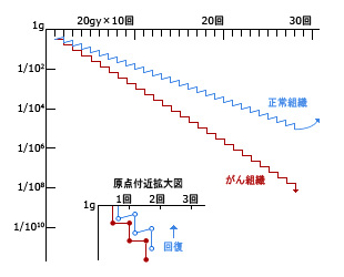 放射線治療について 独立行政法人国立病院機構 嬉野医療センター